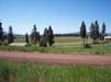 ViewFromProperty1